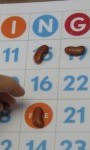 Family Activity: Thanksgiving Bingo