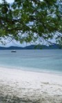 6 Fun Things to Do With Your Kids After Vacation
