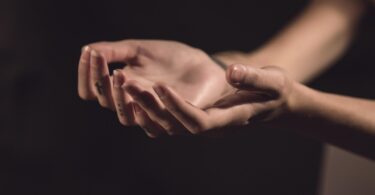 open hands, palms up